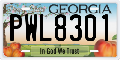 GA license plate PWL8301