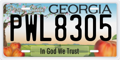 GA license plate PWL8305