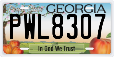 GA license plate PWL8307