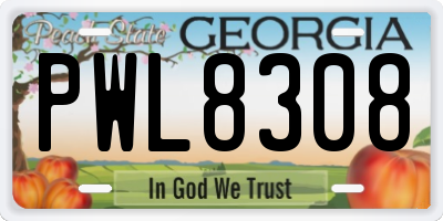 GA license plate PWL8308