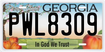 GA license plate PWL8309