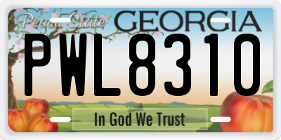 GA license plate PWL8310