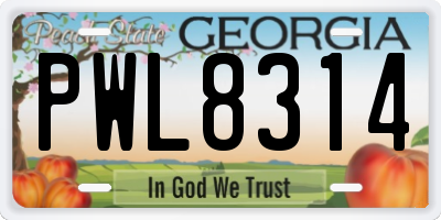 GA license plate PWL8314