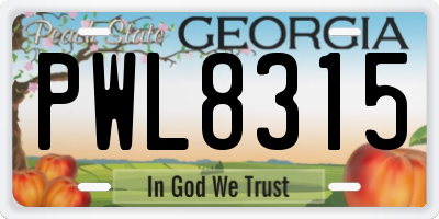 GA license plate PWL8315