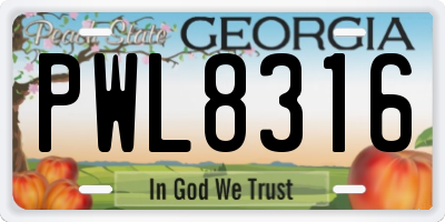 GA license plate PWL8316