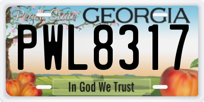GA license plate PWL8317