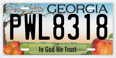 GA license plate PWL8318