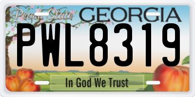 GA license plate PWL8319