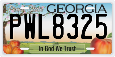 GA license plate PWL8325