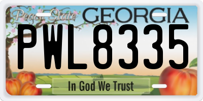 GA license plate PWL8335