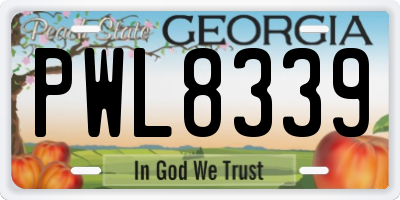 GA license plate PWL8339