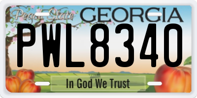 GA license plate PWL8340