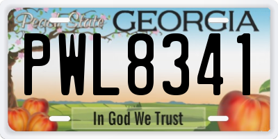 GA license plate PWL8341