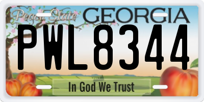 GA license plate PWL8344