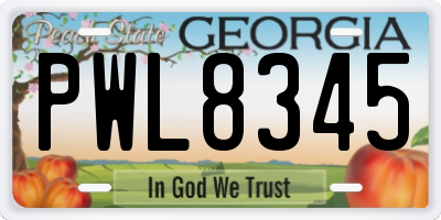 GA license plate PWL8345