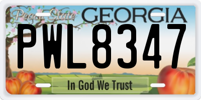 GA license plate PWL8347