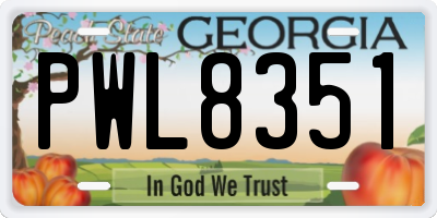 GA license plate PWL8351
