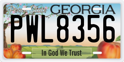 GA license plate PWL8356