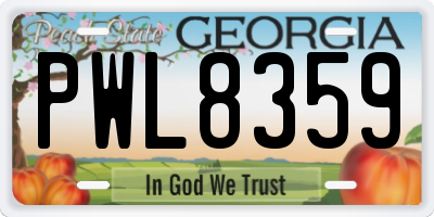 GA license plate PWL8359