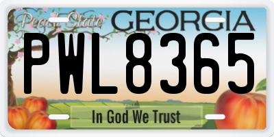 GA license plate PWL8365