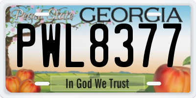 GA license plate PWL8377