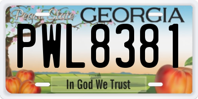 GA license plate PWL8381