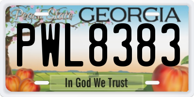 GA license plate PWL8383