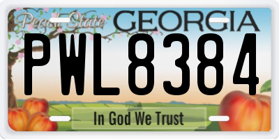 GA license plate PWL8384