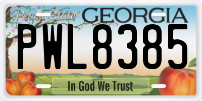 GA license plate PWL8385