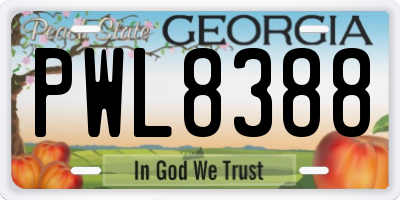 GA license plate PWL8388