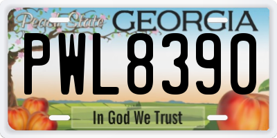 GA license plate PWL8390