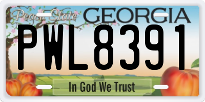 GA license plate PWL8391