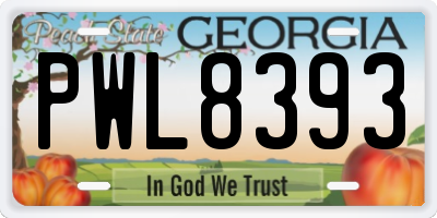 GA license plate PWL8393