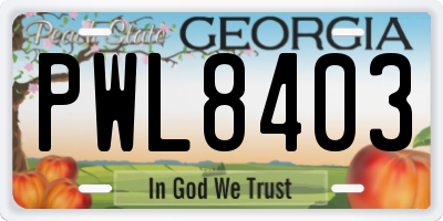 GA license plate PWL8403