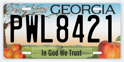 GA license plate PWL8421