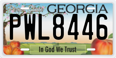 GA license plate PWL8446
