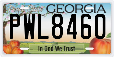 GA license plate PWL8460