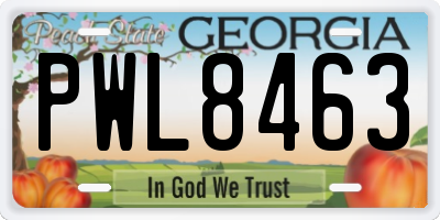GA license plate PWL8463