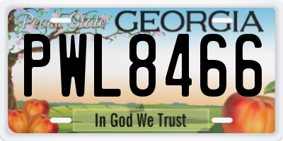 GA license plate PWL8466