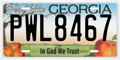 GA license plate PWL8467