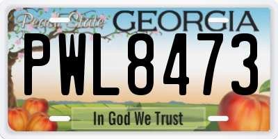 GA license plate PWL8473