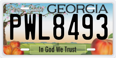 GA license plate PWL8493