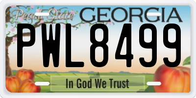 GA license plate PWL8499