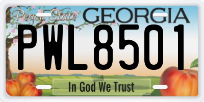 GA license plate PWL8501