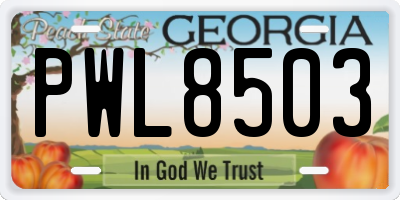 GA license plate PWL8503