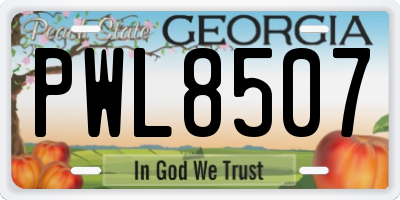 GA license plate PWL8507