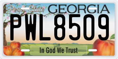 GA license plate PWL8509