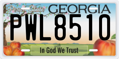 GA license plate PWL8510