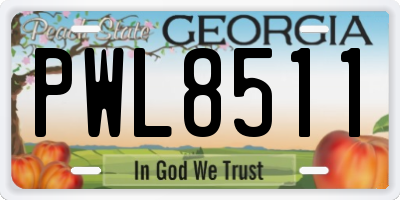 GA license plate PWL8511