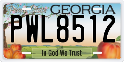 GA license plate PWL8512